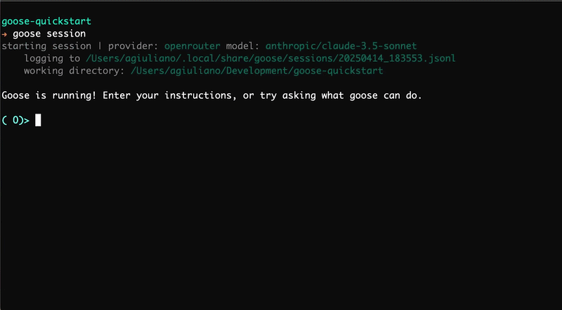 Goose CLI preview