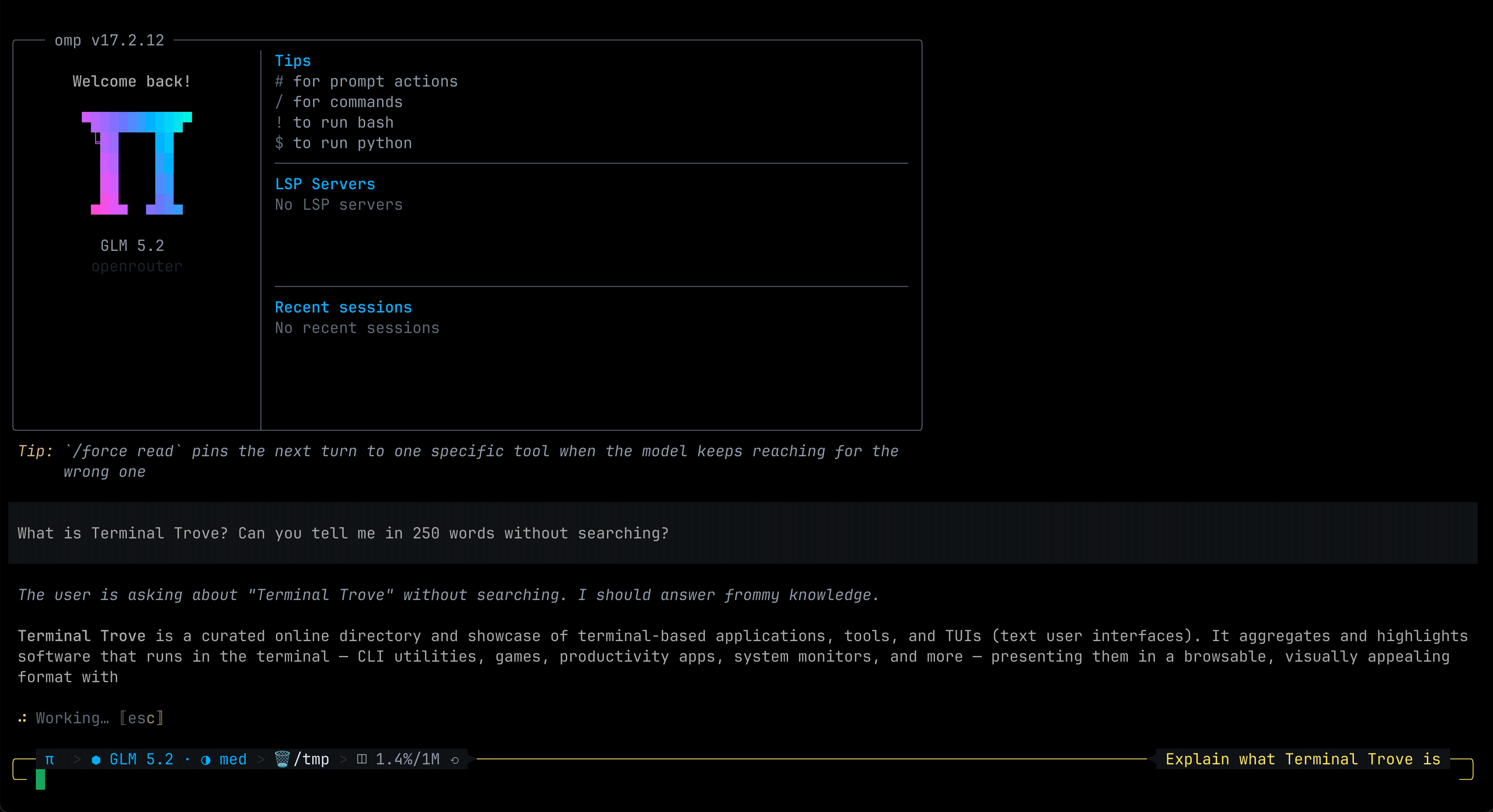 omp - Oh My Pi (omp), a coding agent with the IDE wired in