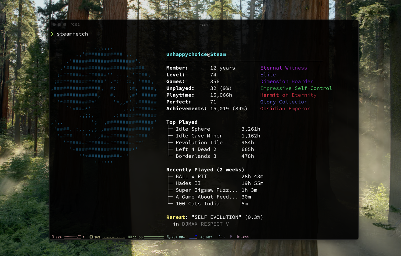 image preview of steamfetch