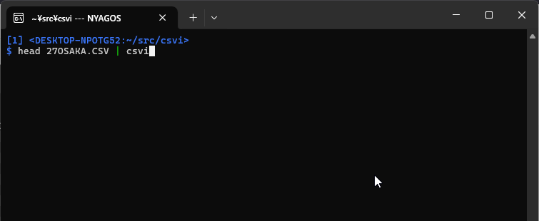 image preview of csvi