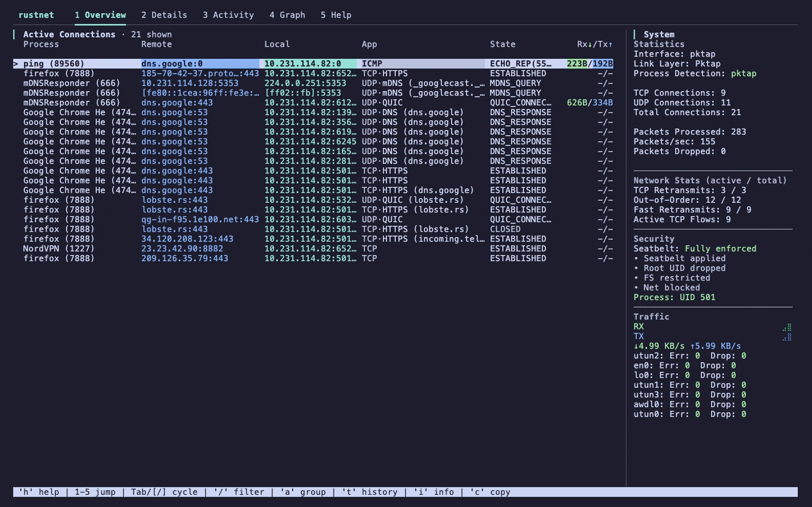 image preview of rustnet