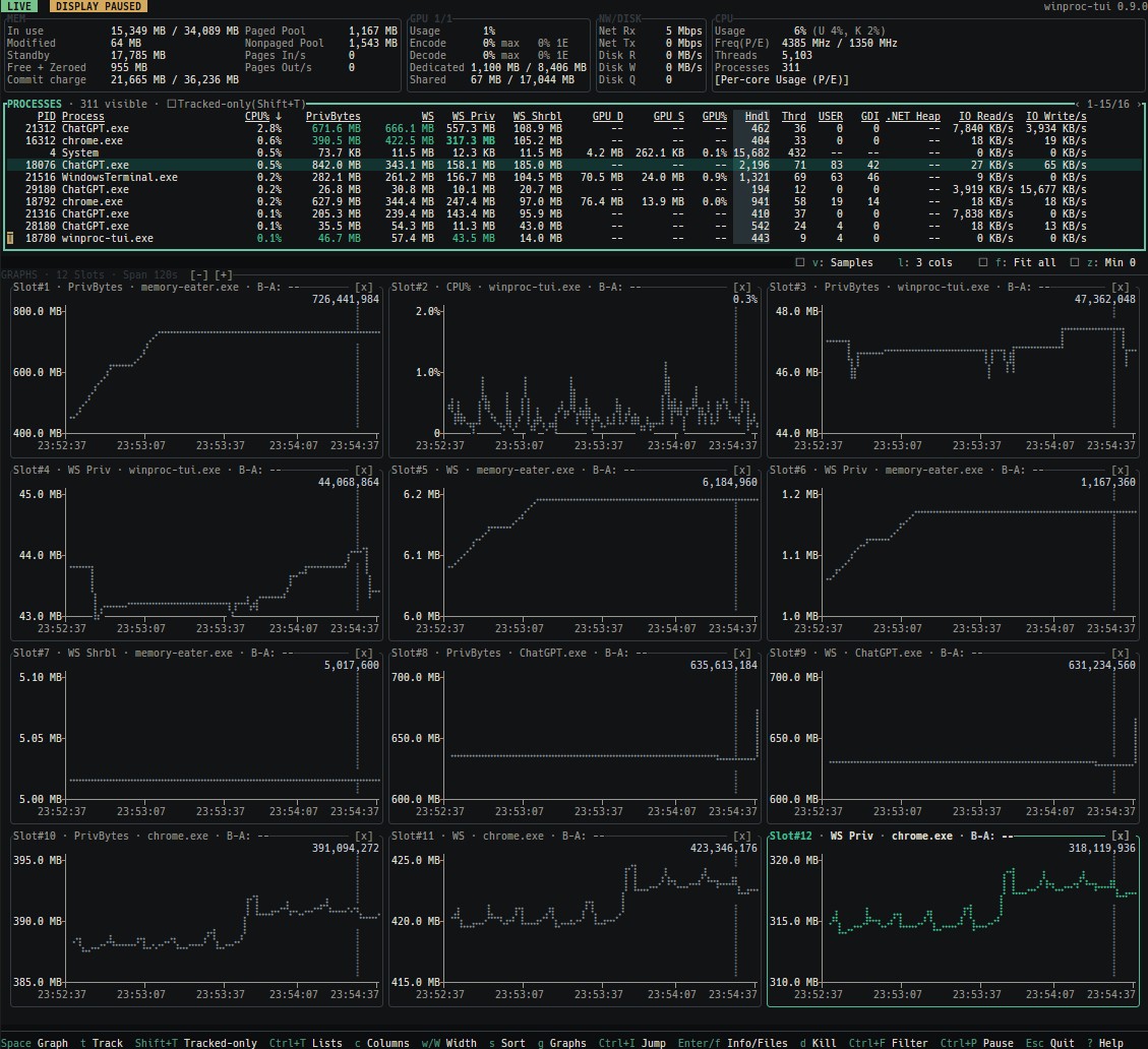 image preview of winproc-tui