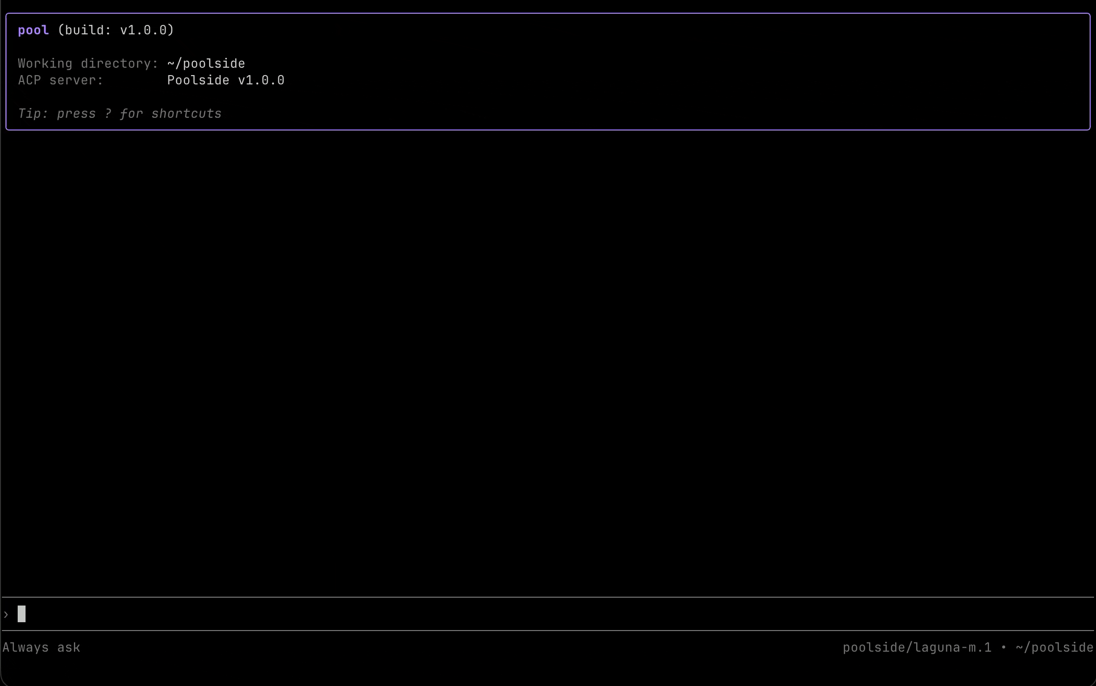 Poolside Agent CLI preview