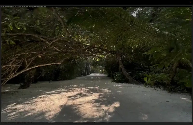 tortuise - A 3D gaussian splat viewer that works in your terminal.