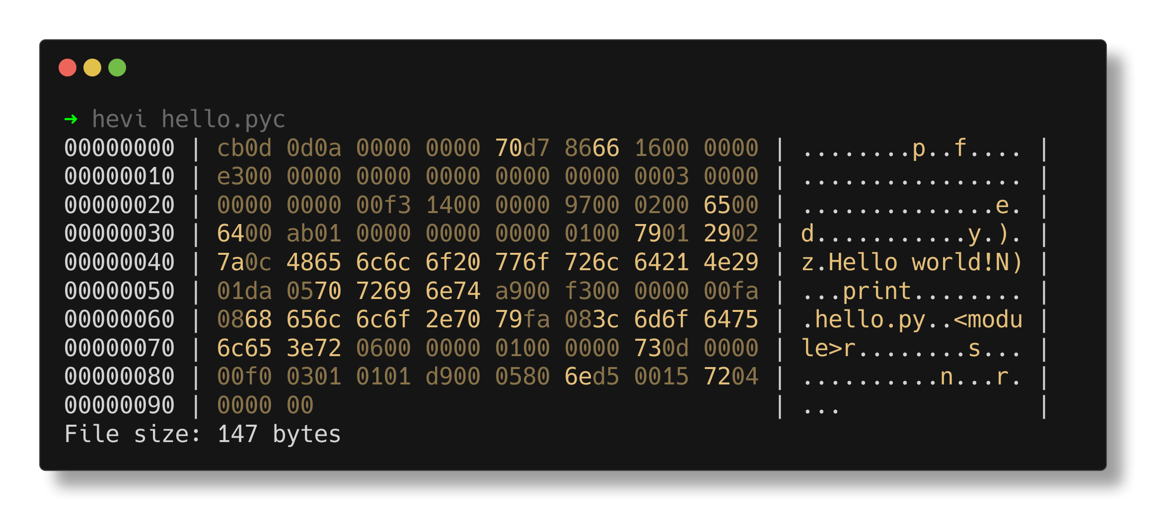 A hex viewer.