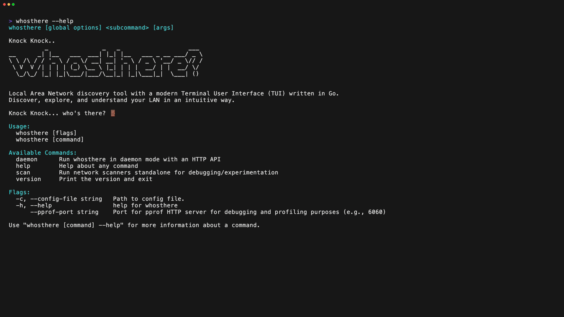 whosthere - A local area network (LAN) discovery tool with a modern TUI interface.