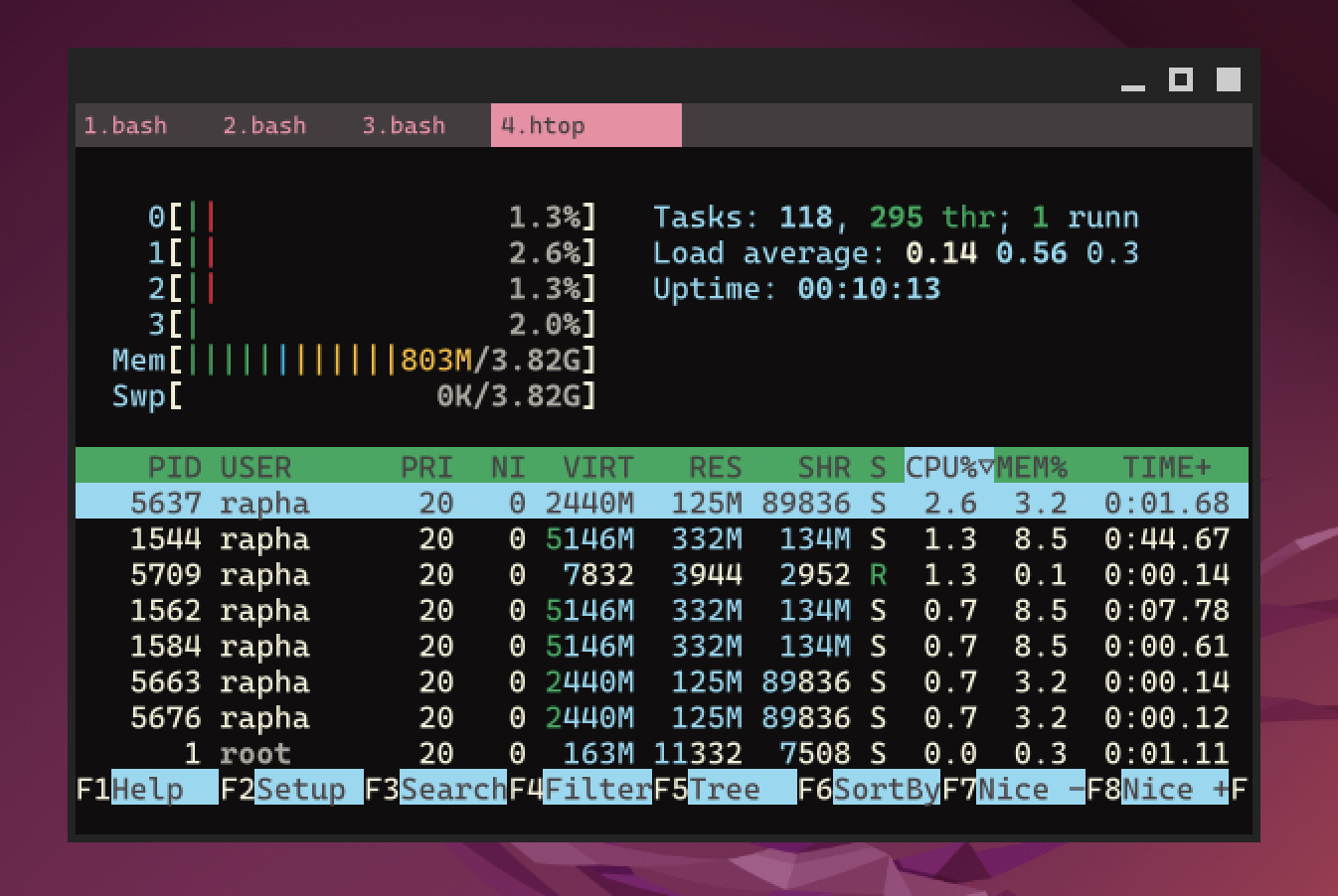 Rio Terminal preview