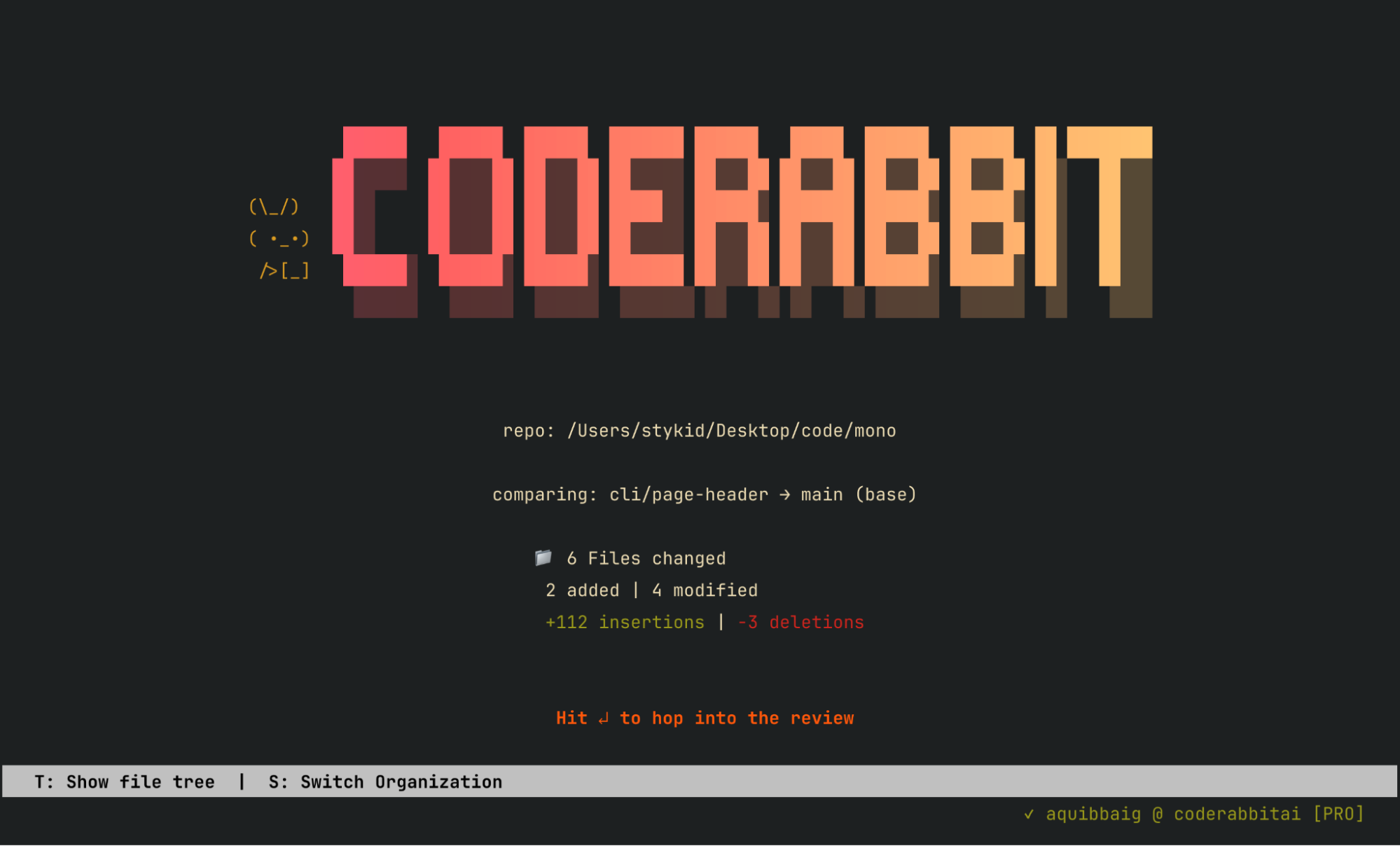 image preview of coderabbit