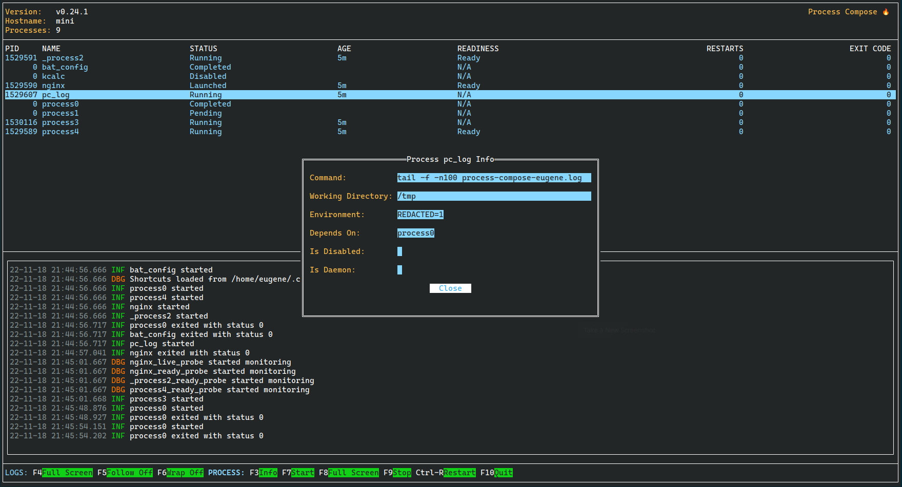 image preview of process-compose