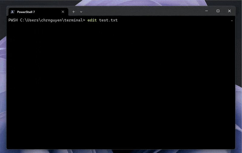 image preview of edit