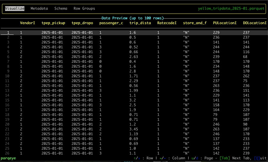 image preview of parqeye