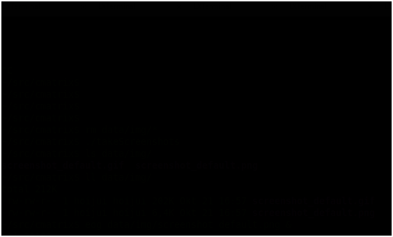 image preview of cmatrix