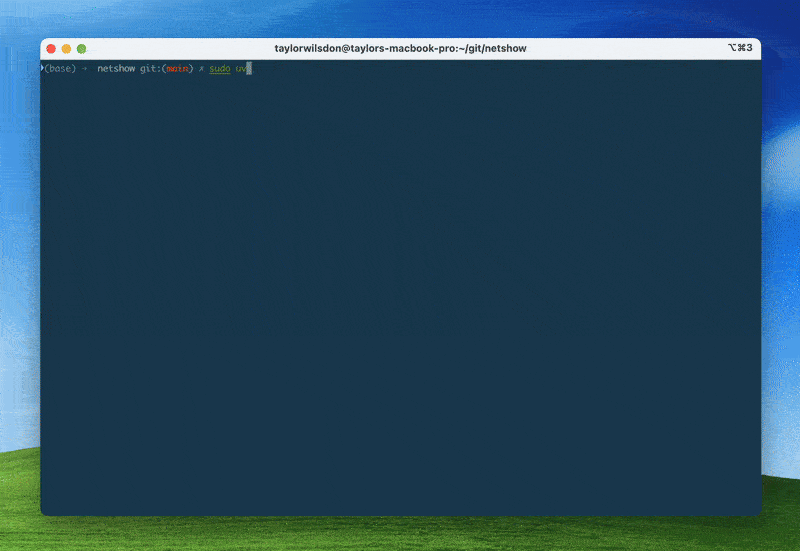 image preview of netshow