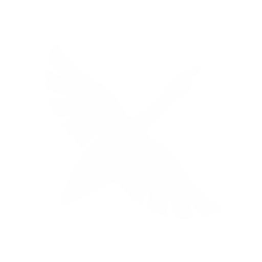 Goose CLI logo