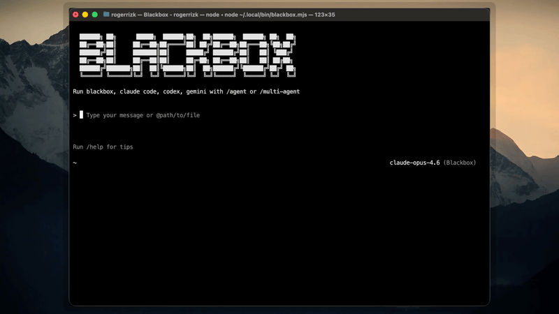 Blackbox AI CLI preview