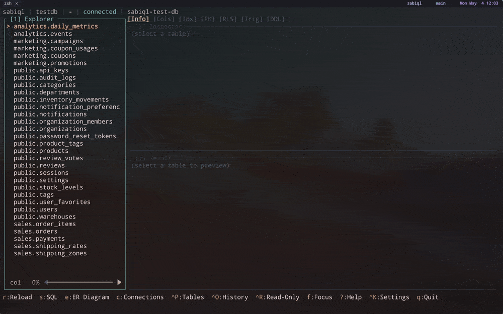 image preview of sabiql