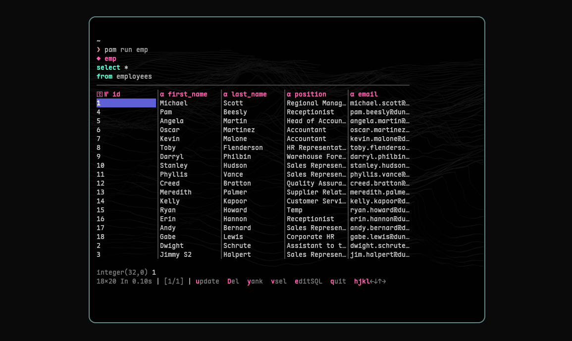 pam - A minimal CLI tool for managing and executing SQL queries with a TUI.