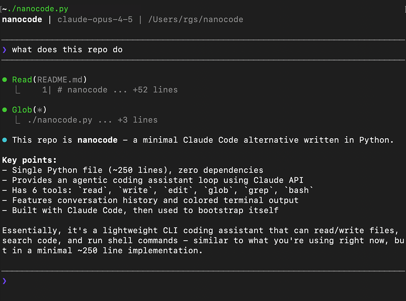 Nanocode preview