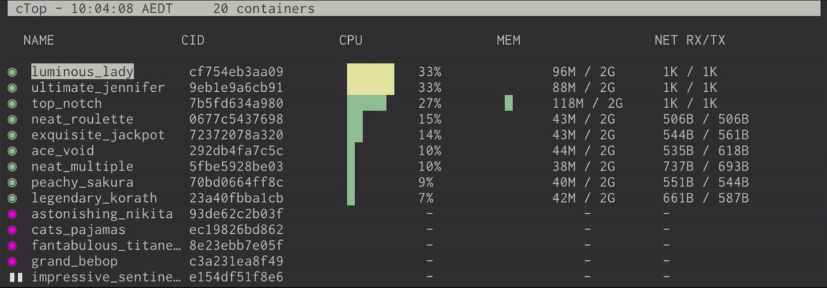 ctop - A top-like interface for container metrics.