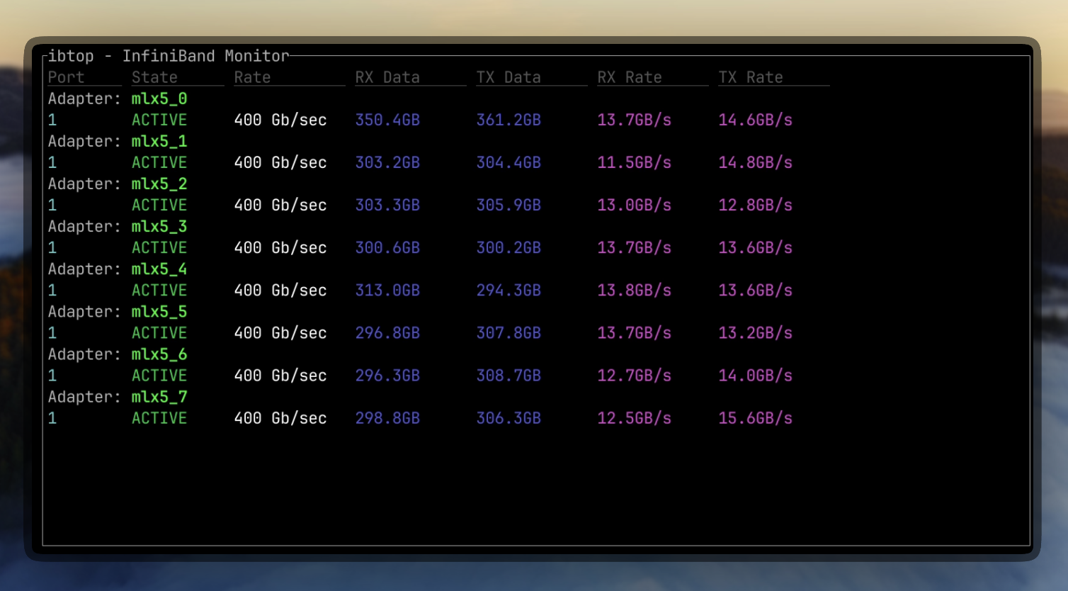 image preview of ibtop